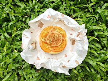 High angle view of chiffon cake in plate