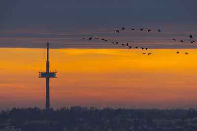 Silhouette birds flying in sky during sunset