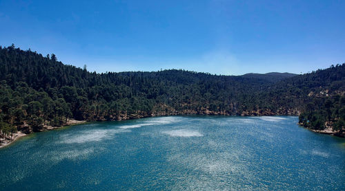 Scenic view of forest against clear blue sky