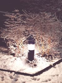 Illuminated lamp on field at night during winter