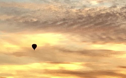 Low angle view of silhouette bird flying against orange sky