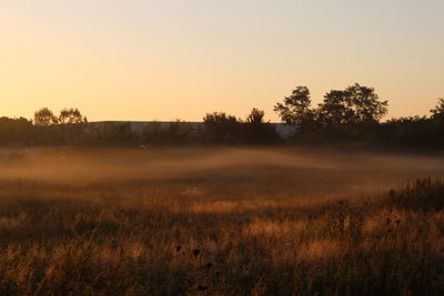 Scenic view of field against sky during sunset
