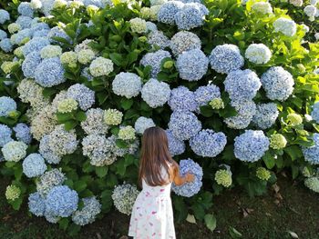 Rear view of girl standing by flowering plants