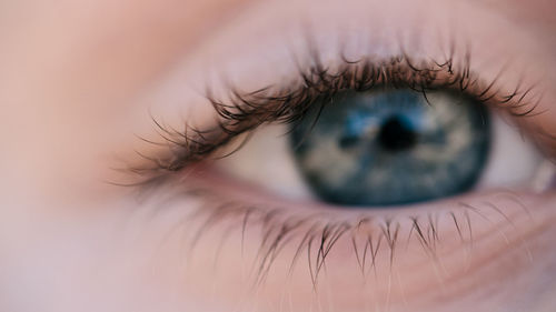 Close-up of human eye