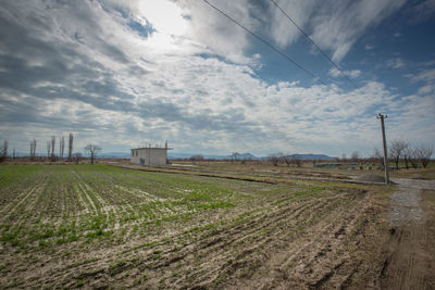 Scenic view of agricultural field against sky