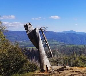 Scenic view of landscape against blue sky