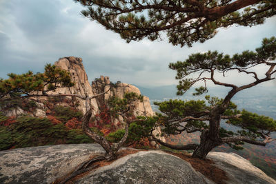 Low angle view of rock formations