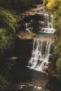 Scenic view of waterfall in forest