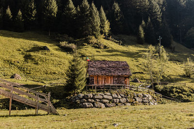 Built structure on field by trees in forest