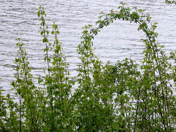 Scenic view of lake