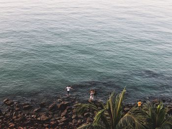 High angle view of bird on beach