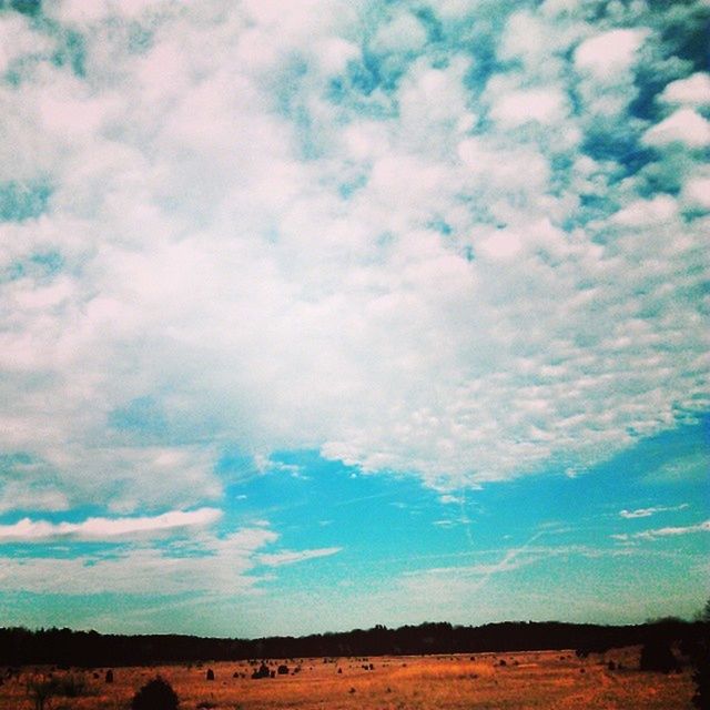 landscape, sky, tranquil scene, tranquility, field, scenics, cloud - sky, horizon over land, beauty in nature, nature, cloud, rural scene, blue, cloudy, agriculture, remote, non-urban scene, idyllic, outdoors, no people