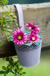 Close-up of pink flower pot