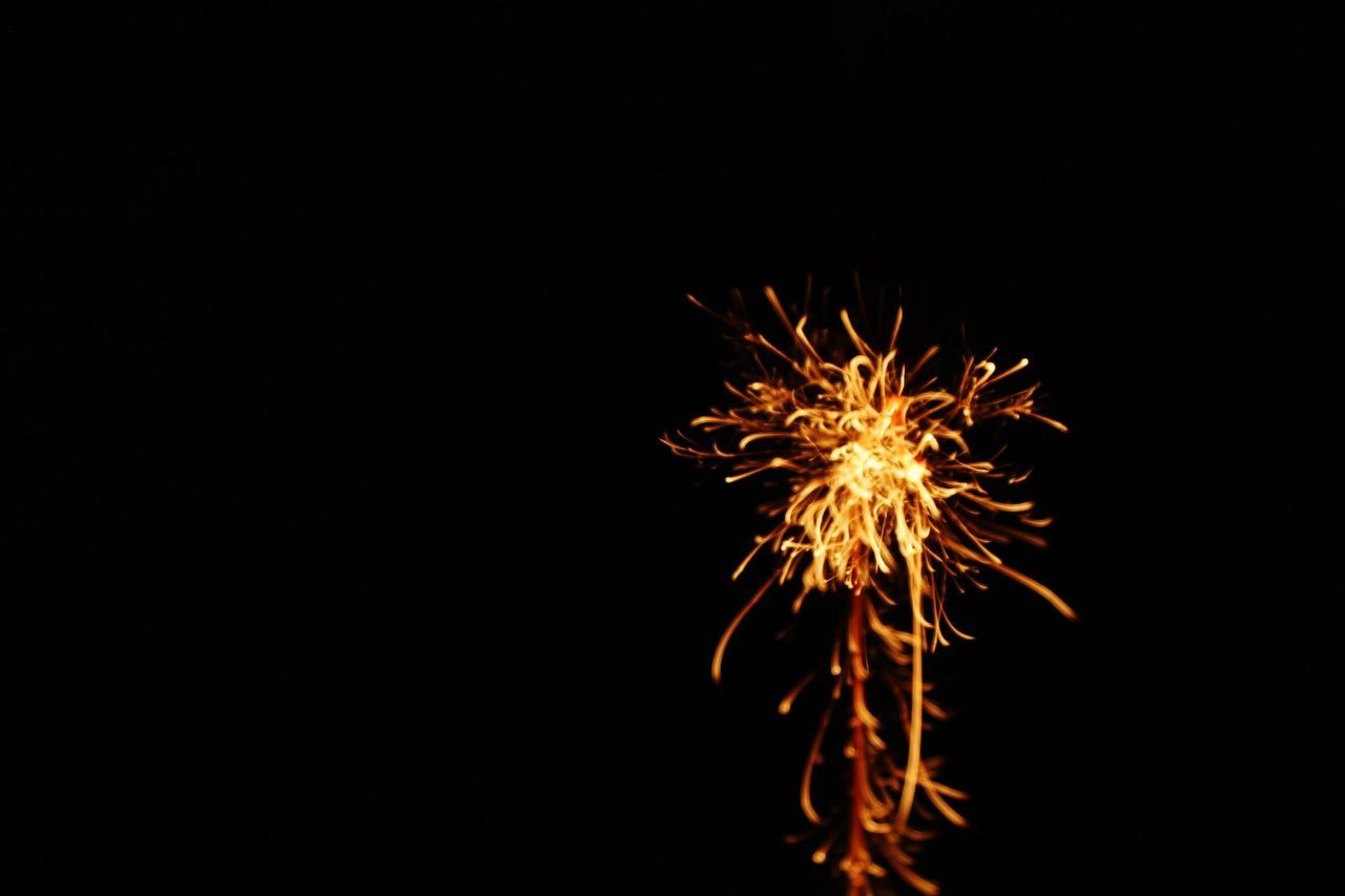 night, firework display, exploding, celebration, firework - man made object, illuminated, glowing, long exposure, motion, sparks, fire - natural phenomenon, low angle view, firework, arts culture and entertainment, event, copy space, blurred motion, sky, entertainment, clear sky