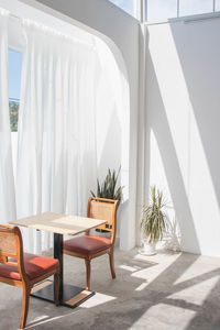 Potted plants on table at home