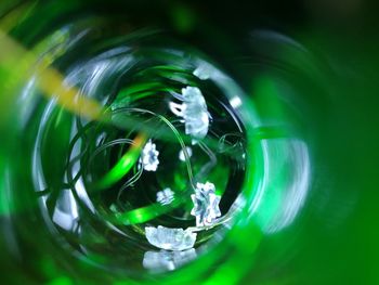 Close-up of water drop on leaf