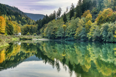 Scenic view of lake by trees against sky