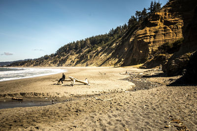 Mid distance view on man sitting on driftwood at beach against sky