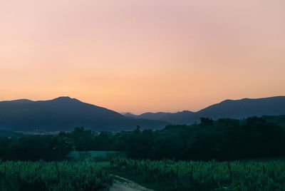 Scenic view of field against sky during sunset