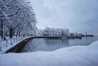 Bregenzer promenade in winter with snow