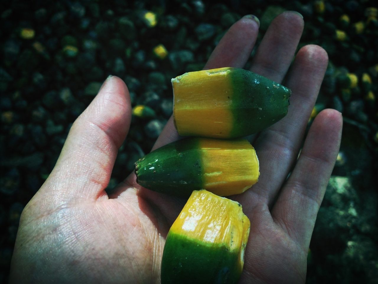 person, holding, part of, human finger, personal perspective, cropped, food and drink, unrecognizable person, lifestyles, close-up, food, leisure activity, freshness, showing, focus on foreground, fruit, healthy eating