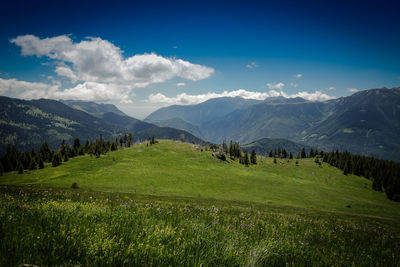 Scenic view of landscape against sky