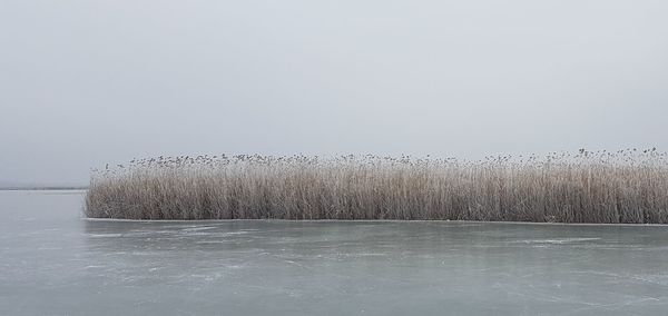 Scenic view of snow against clear sky