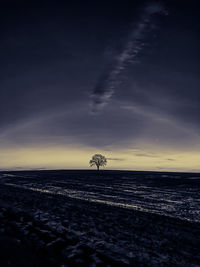 Scenic view of tree against sky during sunrise