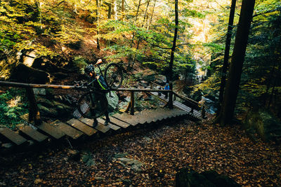 High angle view of steps in forest