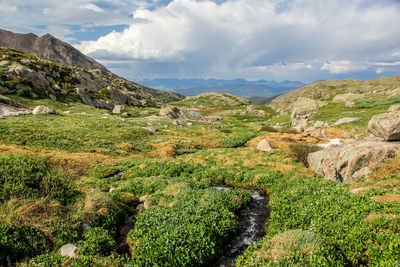 Scenic view of landscape against sky