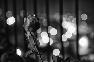 Close-up of illuminated lights