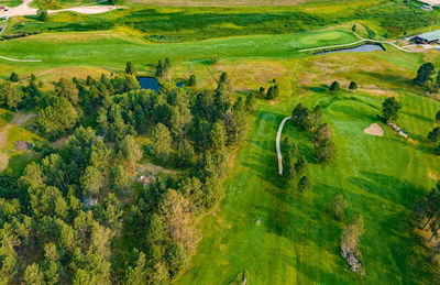 High angle view of trees on landscape