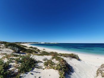 Scenic view of beach against clear blue sky