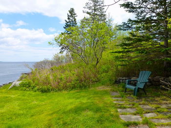 Chair on green landscape by sea against sky