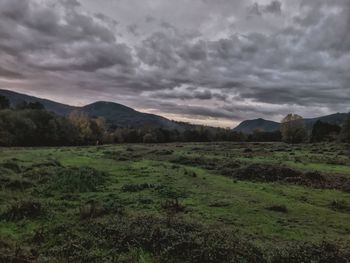 Scenic view of landscape against sky