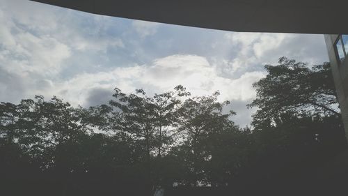 Low angle view of trees against cloudy sky