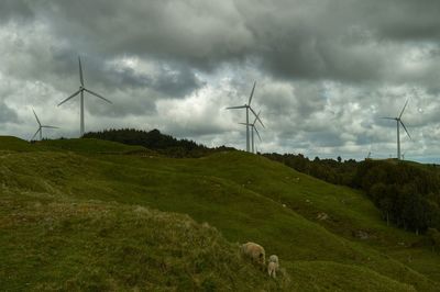 Wind turbines in field