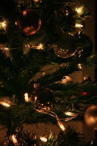 Illuminated christmas tree at night