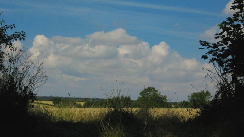 Scenic view of field against cloudy sky