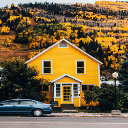 Yellow house against trees