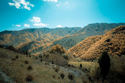 Scenic view of landscape against sky