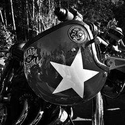 Close-up of information sign on tree trunk