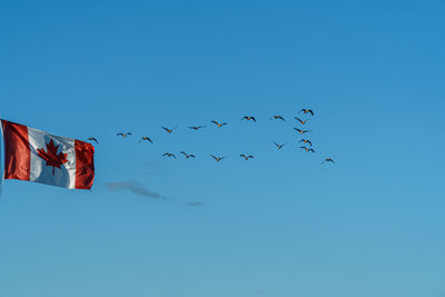 Low angle view of birds flying in sky