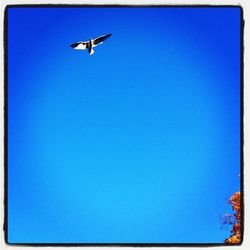 Low angle view of airplane flying against clear sky