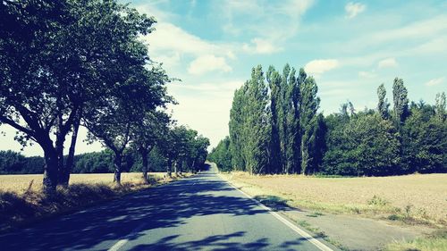 Empty road along trees