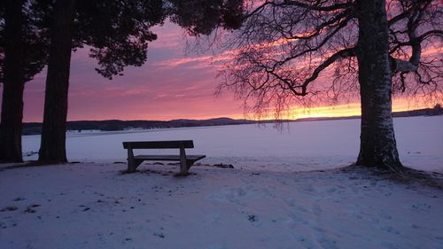 View of bench on snow covered landscape at sunset