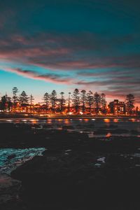 Silhouette trees by illuminated lights against sky at sunset