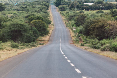 Empty road amidst trees