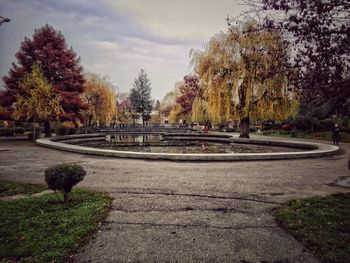 Trees in park against sky during autumn