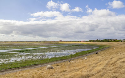 Scenic view of landscape against sky